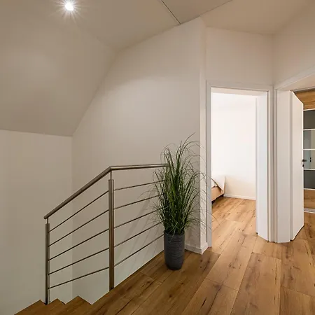 Lilien Tatry * 韦尔卡鲁穆尼卡